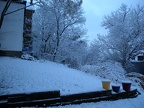 Backyard Snowfall