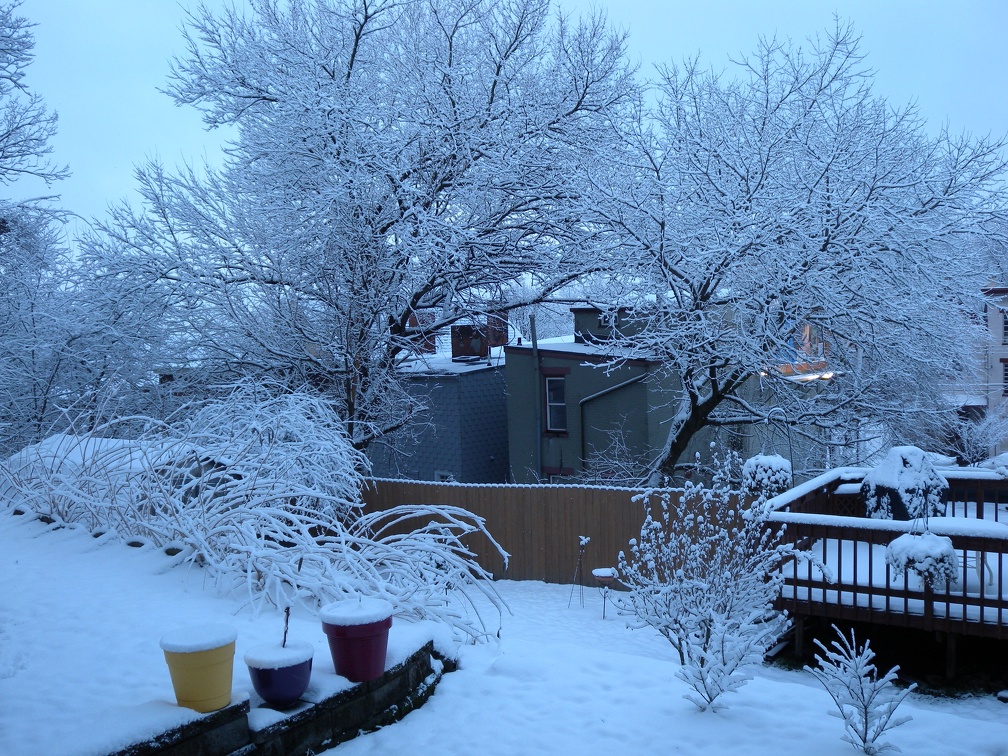 Backyard Snowfall