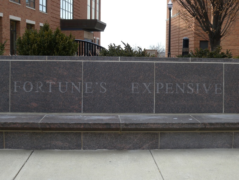 Fortune's Expensive