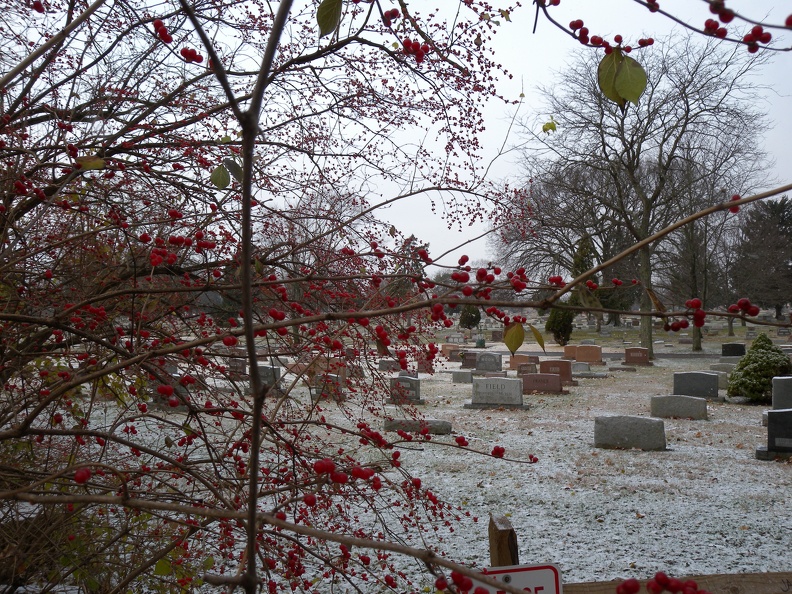 First Snowfall