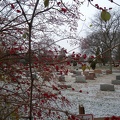 First Snowfall