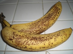 Bananas