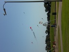 Kites at Mission Bay