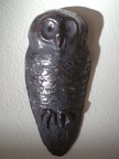 Spotted Owl