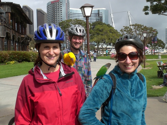 Parrots at Seaport Village