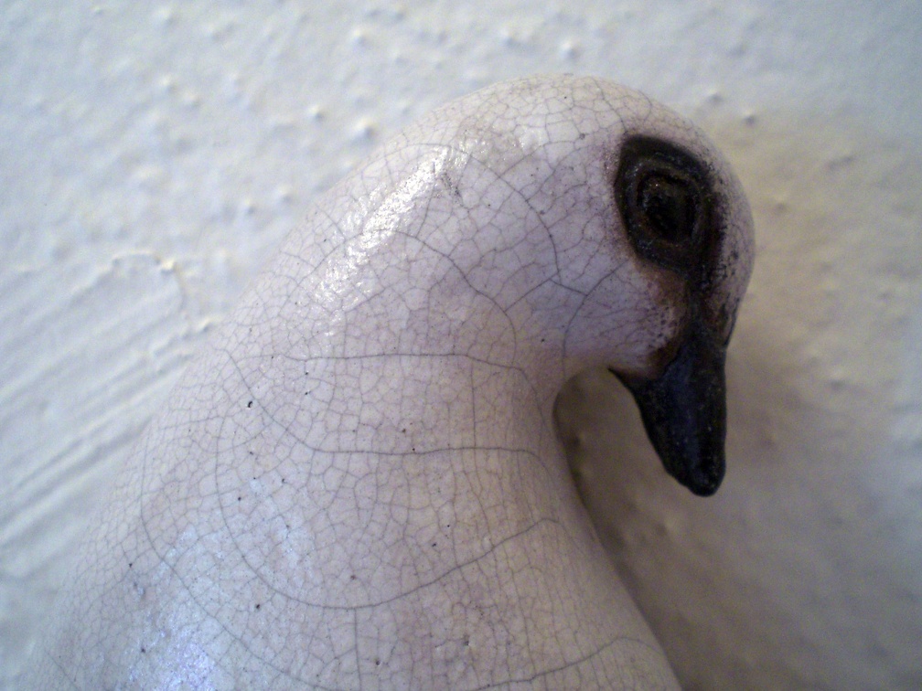 Mourning Dove - detail