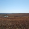 Tallgrass Prairie National Preserve