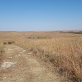 Tallgrass Prairie National Preserve