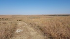 Tallgrass Prairie National Preserve