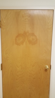 Door at the Vet