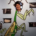 Mantis Robin!