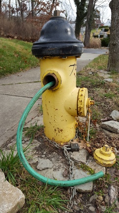 Hydrant