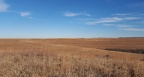 Konza Prairie