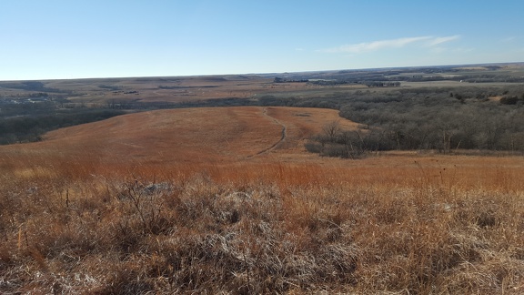 Konza Prairie