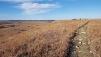 Konza Prairie