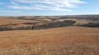 Konza Prairie