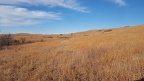 Konza Prairie