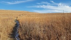 Konza Prairie