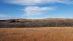 Konza Prairie