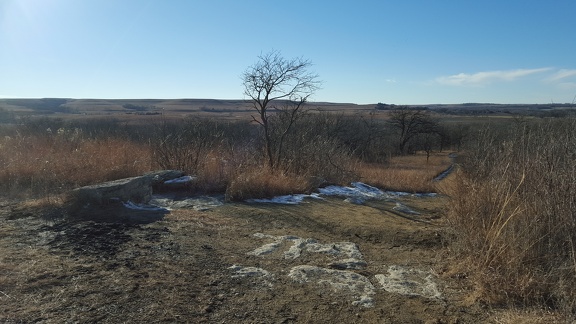 Konza Prairie