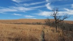 Konza Prairie