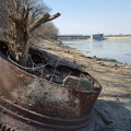 Walking by the Kansas River