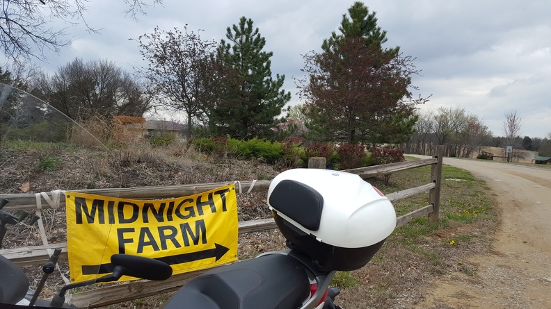 Scooter at Midnight Farm