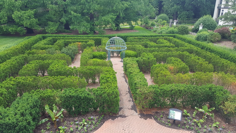 World's Easiest Hedge Maze