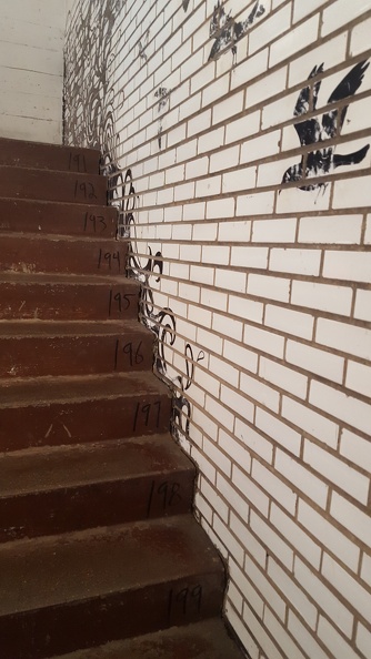 I began my several hours long trip to the city museum by taking the stairs up 10 stories to the roof. Not my brightest moment. 2016-06-04 18.37.32.jpg