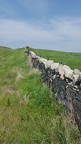 Stone Fence