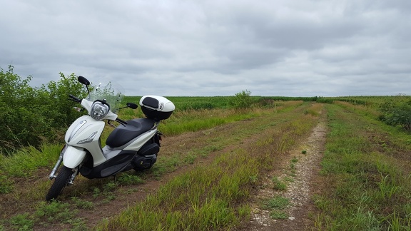 Scooter in a Kansas Field