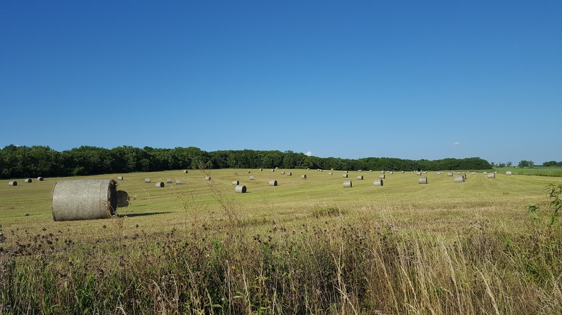 Kansas