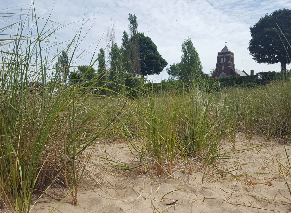 South Haven Dunes