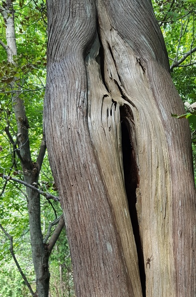 Highlands Nature Sanctuary