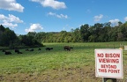 Blind Bison