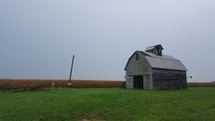 Run Down Rainy Barns of Illinois