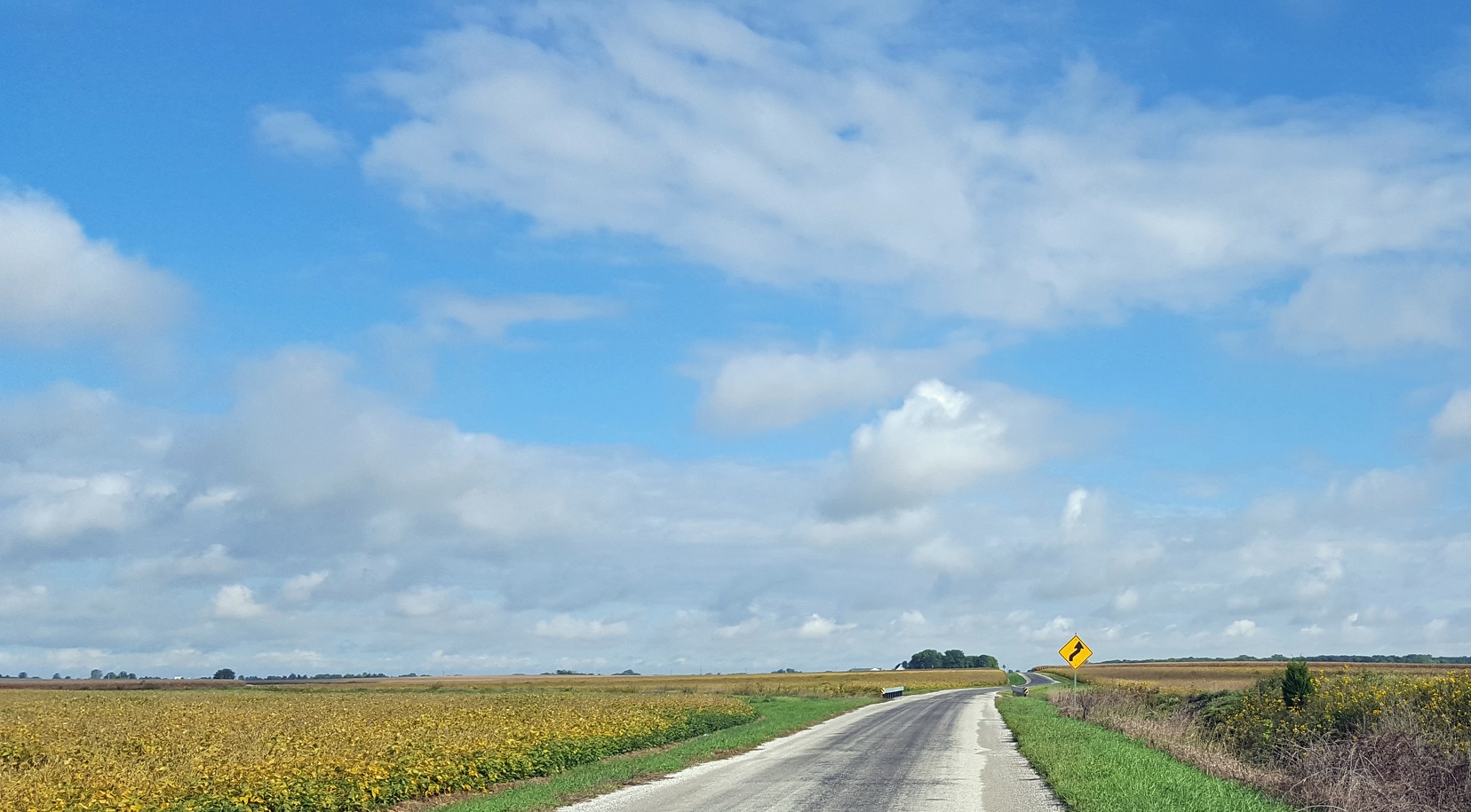 Illinois road in early fall. I spent a few hours with this view, it was lovely.