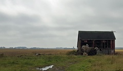 Minnesota has old barns, too!