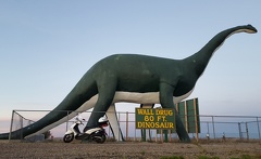 Wall Drug Scooter