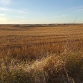 Scenic View