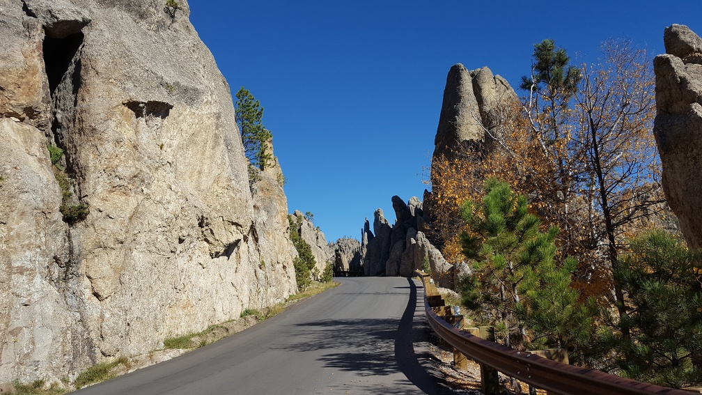 Needles Highway