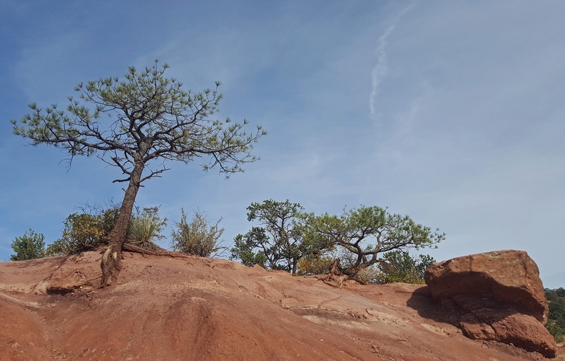 Garden of the Gods