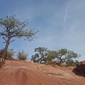 Garden of the Gods