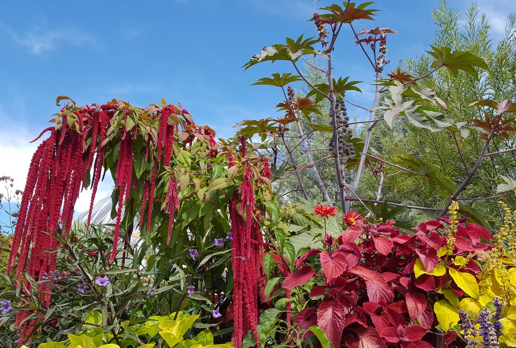 Denver Botanic Gardens