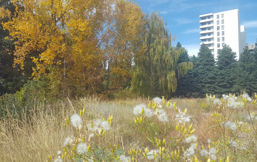 Denver Botanic Gardens