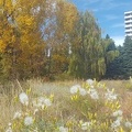 Denver Botanic Gardens