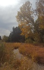 Denver Botanic Gardens