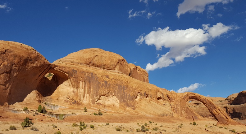 Bowtie on the left, Corona arch on the right.