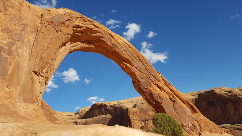 Corona Arch.