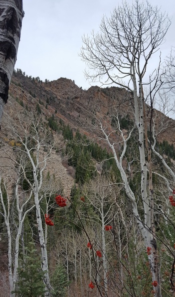 Lake Blanche Trail